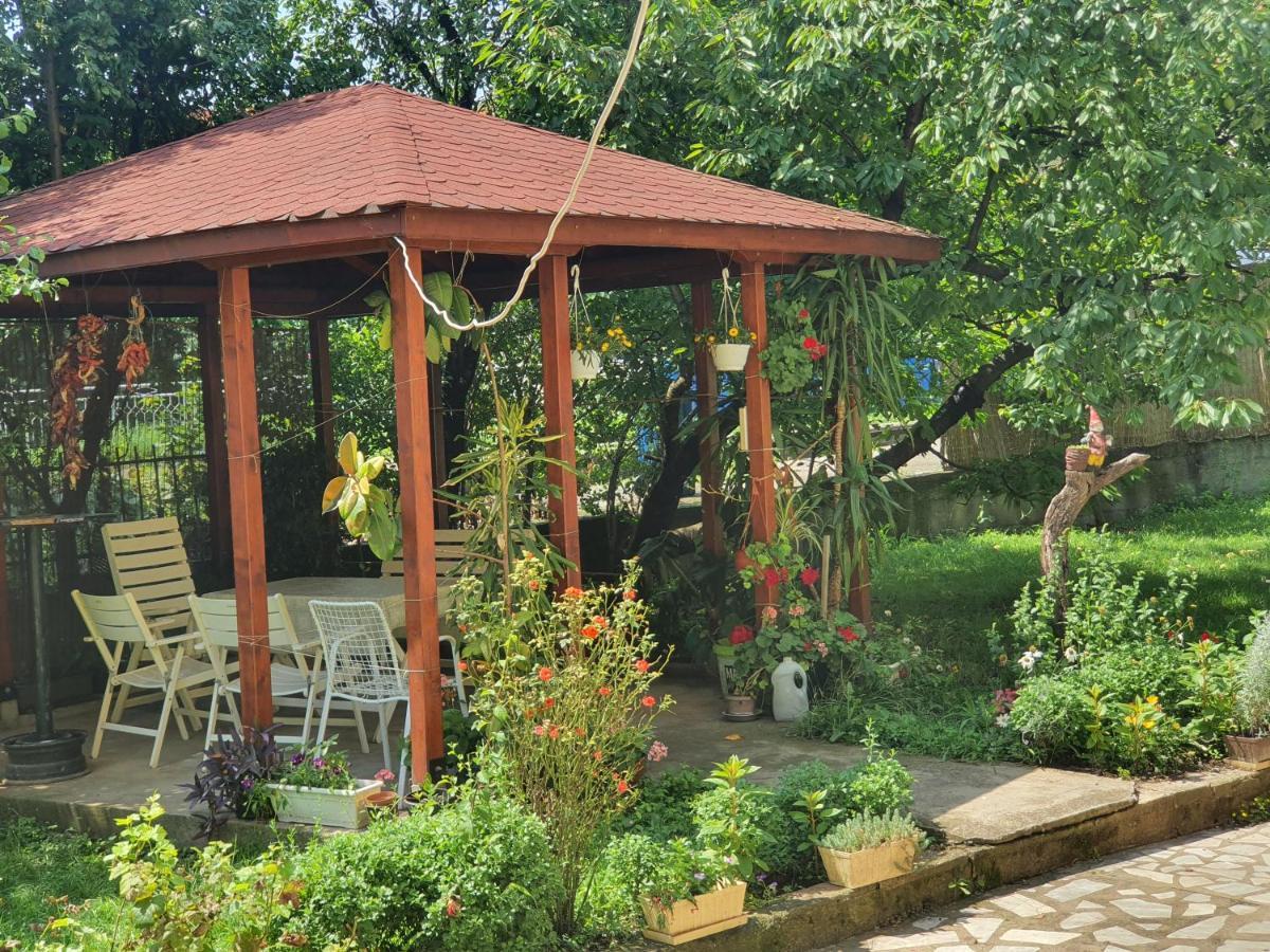 Villa Broj Jedan Delux à Sokobanja Extérieur photo